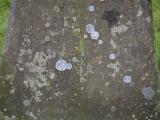 image of grave number 807804